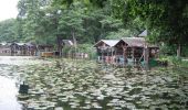 Tour Zu Fuß Michendorf - Balken grün Caputh - Lienewitzseen - Photo 4