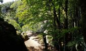 Randonnée Marche Val-d'Aigoual - Cascade d'Orgon depuis Cap de Côte - vue Mont Aigoual - Photo 11