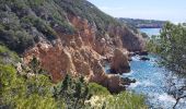 Trail Walking Saint-Cyr-sur-Mer - Le port d' Allon +370  - Photo 2
