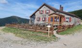 Trail Walking La Bresse - Le Hohneck et ses lacs d'altitude - Photo 20