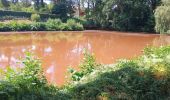 Trail Walking Forges-les-Eaux - Forges les Eaux.Vers la fontaine de la Chevrette  - Photo 5