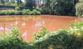 Excursión Senderismo Forges-les-Eaux - Forges les Eaux.Vers la fontaine de la Chevrette  - Photo 5