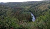 Trail Horseback riding Bouillon - Dohan - Photo 1