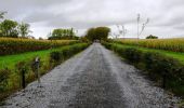 Trail On foot Aubel - Balade de la Bel - Photo 1