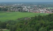 Tour Zu Fuß Groß-Bieberau - Rundwanderweg Fischbachtal Riedbusch 5: Schlangen-Weg - Photo 4