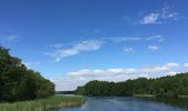 Tour Zu Fuß Königs Wusterhausen - 1. Permanenter Wanderweg Königs Wusterhausen - Photo 3