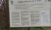 Trail Walking Pulversheim - Pulversheim - Photo 1