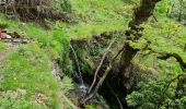 Trail Walking Saint-Julien - Le tour des jasses : Bourdils Chavardes Landres Bramefan - Photo 16