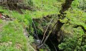 Excursión Senderismo Saint-Julien - Le tour des jasses : Bourdils Chavardes Landres Bramefan - Photo 16