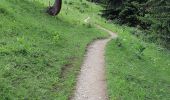 Tour Wandern Beaufort - REFUGE DE LA COIRE DEPUIS LE LAC DE SAINT GUERIN - Photo 5