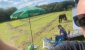 Tour Reiten Beauraing - Wancennes-Tanville - Photo 1
