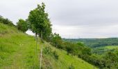 Trail On foot Beverungen - Erlesene Natur - Wo der Bock zum Gärtner wird - Photo 4