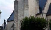 Excursión Senderismo Turquant - entre Anjou et Touraine  - Photo 1