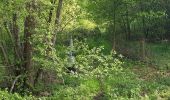 Trail On foot Plombières - Vieux Moulin - Photo 2