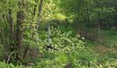 Trail On foot Vaals - Vieux Moulin - Photo 9