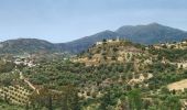 Trail On foot Municipality of Zaros - Agios Efthimios - Photo 5