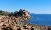 Tour Wandern Perros-Guirec - LE SENTIER DES DOUANIERS  - Photo 1