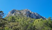 Trail Walking La Valette-du-Var - coudon sud et est - Photo 2