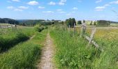 Tour Wandern Vielsalm - fraiture - plateau des tailles  - Photo 8