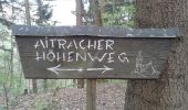 Percorso A piedi Aitrach - Aitracher Höhenweg - Photo 1