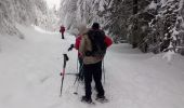 Trail Snowshoes Cornimont - Raquettes   LE BRABANT - Photo 5