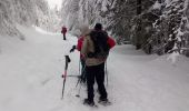 Tocht Sneeuwschoenen Cornimont - Raquettes   LE BRABANT - Photo 5