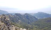 Trail Walking Peille - cime de Baudon - Photo 1