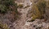 Trail Walking Mons - Celas Bos Nègre  - Photo 6