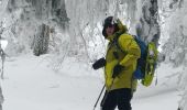 Trail Snowshoes Belmont - cascade de la serva - Photo 4
