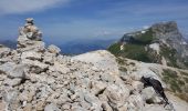 Tocht Stappen Pralognan-la-Vanoise - Pralognan - le petit mont Blanc a - Photo 2