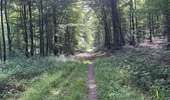 Randonnée Marche Dampleux - en Forêt de Retz_101_05_2026_sur la Route des Briolles et la Route de Hautwison - Photo 19