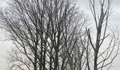 Trail Walking Silly - Gondregnies - bois de la Provision - Fouleng - Photo 4