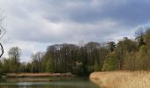 Randonnée Marche Morlanwelz - promenade bois et parc de mariemont - Photo 10