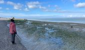 Trail Walking Cayeux-sur-Mer - Le Hourdel - Photo 14