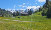 Tocht Mountainbike Le Grand-Bornand - Balcon des Aravis - Photo 7