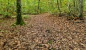 Trail Walking Vendôme - Petit parcours dans la partie Sud-est du Bois de l'Oratoire - Photo 4