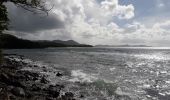 Tour Wandern Sainte-Luce - Corps de Garde Bernard en boucle  - Photo 4