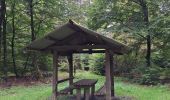 Excursión Senderismo Martelange - Martelange, Bois d’Anlier, Passerelle des oiseaux - Photo 6