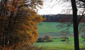 Tour Zu Fuß Neckargerach - Rundwanderweg Guttenbach 1: Minneburg-Weg - Photo 10