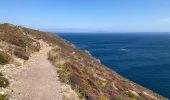 Trail Walking Crozon - Cap de la Chevre  - Photo 15