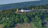 Tour Zu Fuß Miltenberg - Rundwanderweg Miltenberg Springquelle 3: - Photo 1