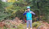 Trail Mountain bike Raon-l'Étape - sortie vtt 03112019 la trouche - Photo 7