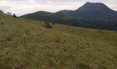 Tocht Stappen Orcines - Ballade au Puy de Cōme - Photo 6