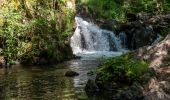 Randonnée Marche Albussac - cascades de murel - Photo 5