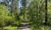 Tour Wandern Vieux-Moulin - en foret de Compiègne_38_07_2021_sur la Route Eugénie - Photo 3