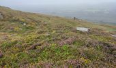 Excursión Senderismo West Cork - Ardgroom -  Eyeries - Photo 2