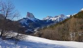 Randonnée Raquettes à neige Gresse-en-Vercors - Les Rochers du Baconnet - Photo 9
