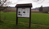 Randonnée Marche Viroinval - Les pelouses calcicoles  - Photo 1