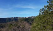 Tocht Stappen Saint-Étienne-de-Gourgas - Forêt de Parlatges - Roc de l'Eglise - Photo 4