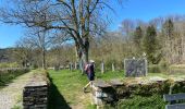 Trail Walking Bertrix - More et pire - Mortehan - Photo 14